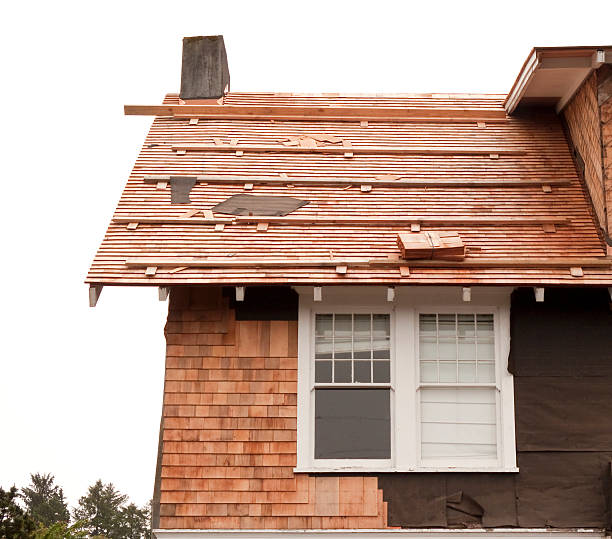 Affordable Siding Repair and Maintenance Services in Lenoir, NC